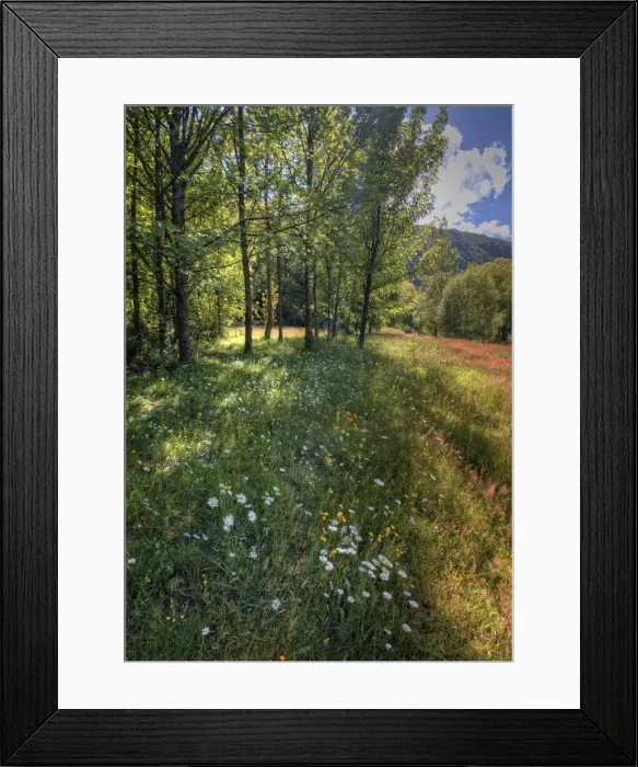 Framed Print : Arrowtown water-meadows with summer blooms, South Island of New Zealand