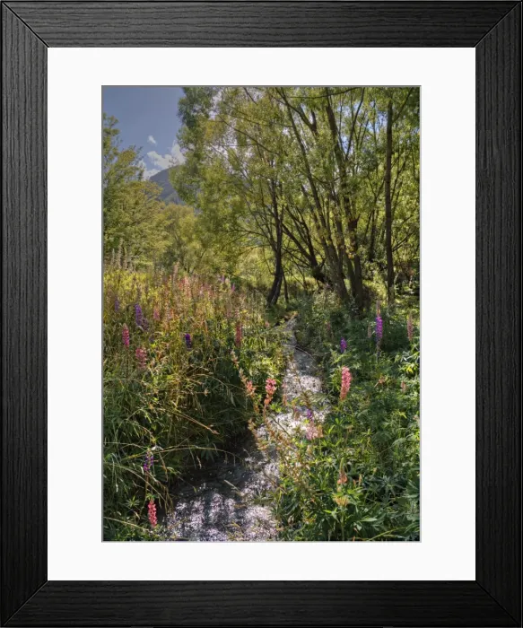 Framed Print : Arrowtown water-meadows with summer blooms, South Island of New Zealand