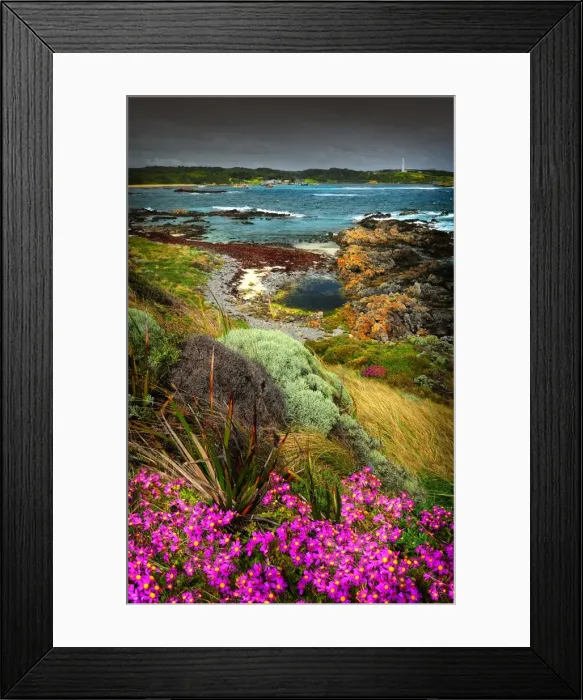 Framed Print : A scene from Currie Harbour, which is a safe anchorage for the local Crayfish (Lobster) industry. West coast of King Island, Bass Strait, Tasmania Framed Print : A scene from Currie Harbour, which is a safe anchorage for the local Crayfish (Lobster) industry. West coast of King Island, Bass Strait, Tasmania