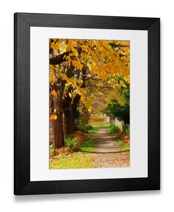 Framed Print : The rich hues and colours of autumn in Central Victoria