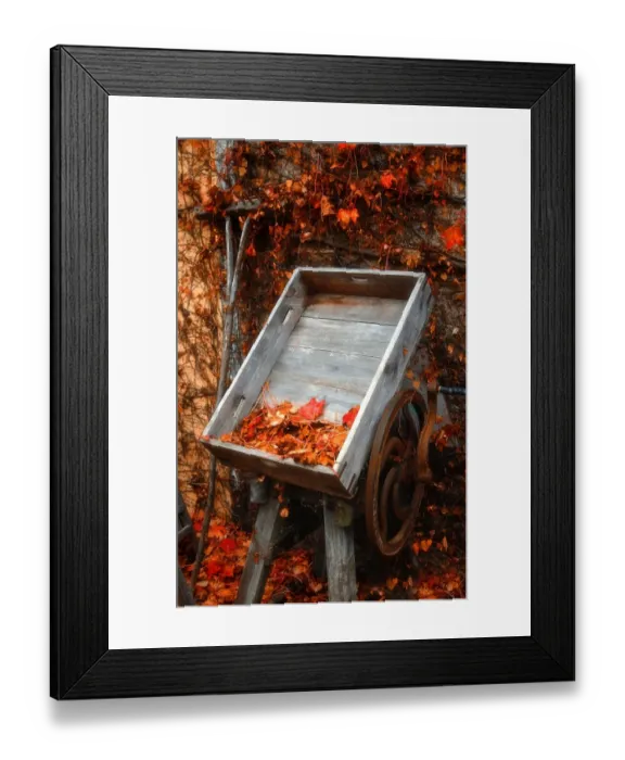 Framed Print : The rich hues and colours of autumn in Central Victoria