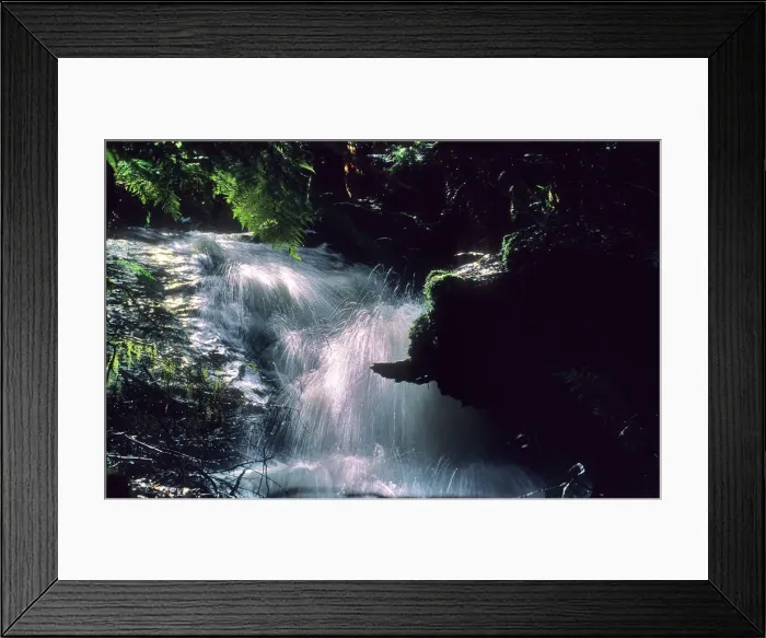 Framed Print : Anns cascade is a small waterfall in the Otway Rainforest, Western Victoria