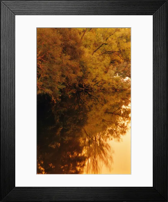 Framed Print : The rich hues and colours of autumn in Central Victoria Framed Print : The rich hues and colours of autumn in Central Victoria