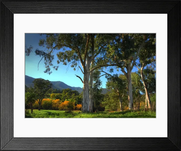Framed Print : Early morning in autumn in the Kiewa Valley Central Victoria Framed Print : Early morning in autumn in the Kiewa Valley Central Victoria