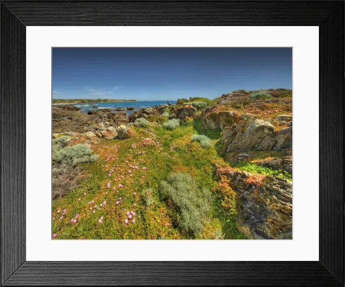 Framed Print : Coastline near Victoria cove in the North West corner of King Island, Bass Strait, Tasmania Framed Print : Coastline near Victoria cove in the North West corner of King Island, Bass Strait, Tasmania