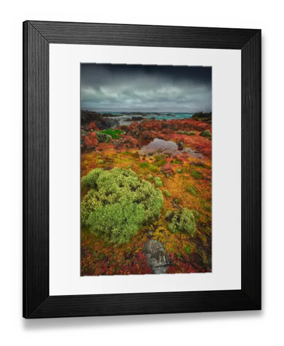 Framed Print : The Gulchway, a rugged and isolated part of the West coastline of King Island, Bass Strait, Tasmania