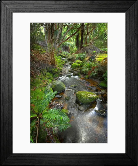Framed Print : Fotheringate rainforest and creek in the foothills of the Strzelecki Ranges, Flinders Island, Bass Strait, Tasmania