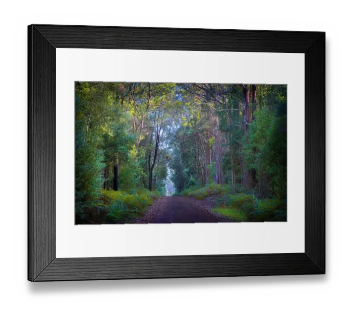 Framed Print : Unsealed Roadway in the Pegara state forest, King Island, Bass Strait, Tasmania