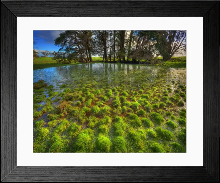 Framed Print : After a wet winter many parts of the rural landscape on King Island are soggy and lagoons and ponds fill with the rainwater. Bass Strait Tasmania Framed Print : After a wet winter many parts of the rural landscape on King Island are soggy and lagoons and ponds fill with the rainwater. Bass Strait Tasmania