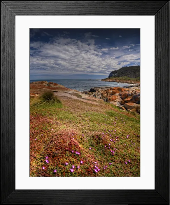 Framed Print : The coastline near Cape Frankland, on the West coast of Flinders Island, Bass Strait, Tasmania