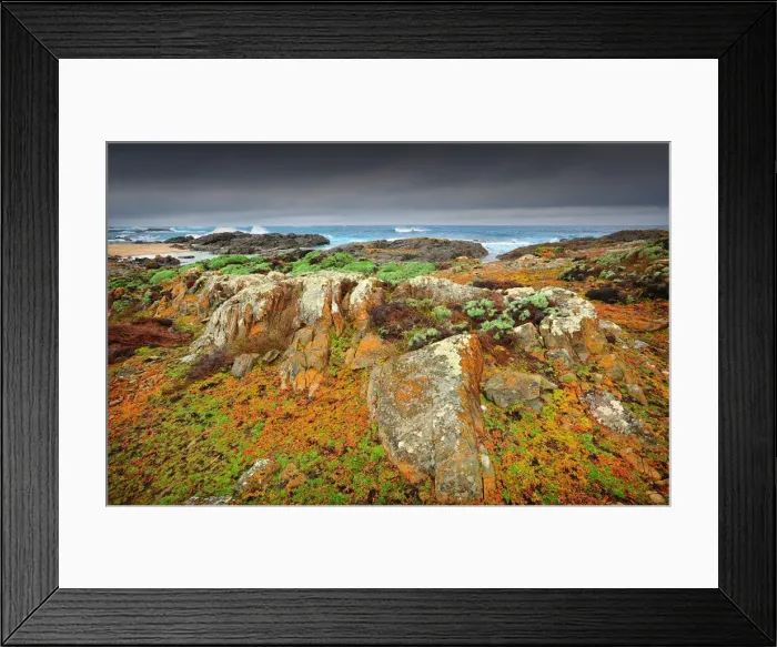 Framed Print : Fitzmaurice Bay, King Island, bass Strait, Tasmania Framed Print : Fitzmaurice Bay, King Island, bass Strait, Tasmania