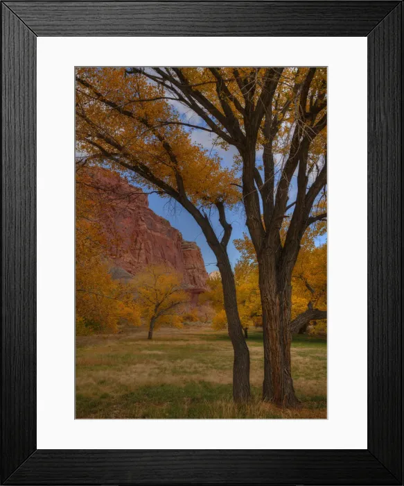 Framed Print : Autumn at Capital Reef, Utah, South Western United States