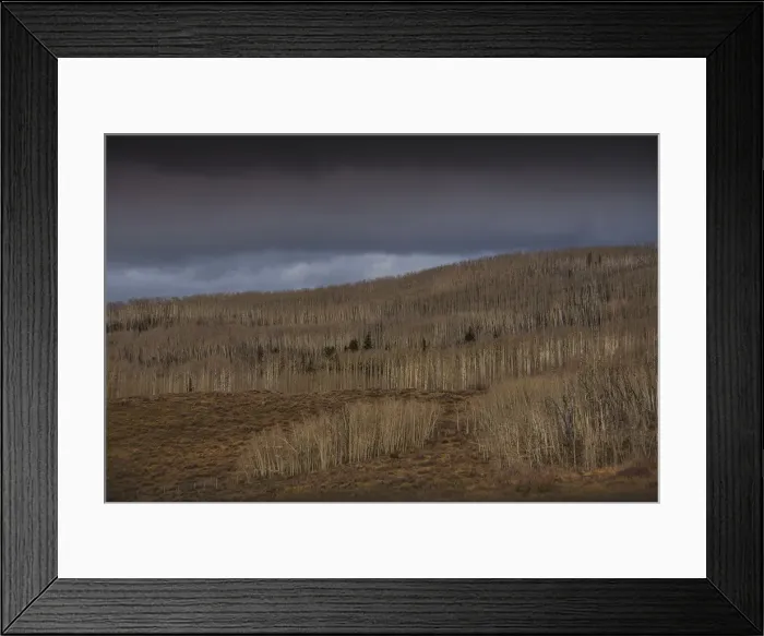Framed Print : Aspens after dropping their fall colours in the Escalante region of Utah, South Western United States Framed Print : Aspens after dropping their fall colours in the Escalante region of Utah, South Western United States