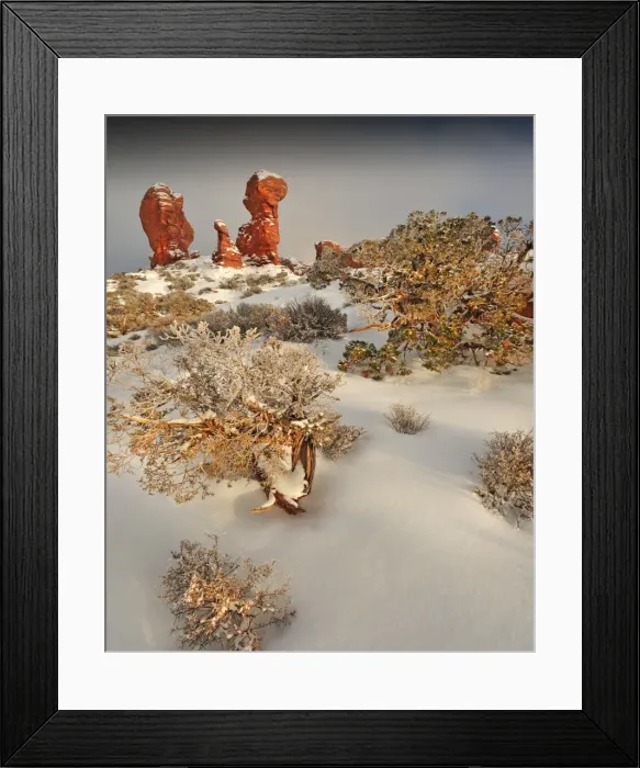 Framed Print : Arches National Park in Utah, South-western United States, with a mantle of rare winter snow