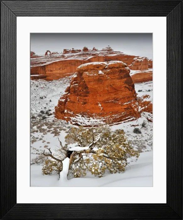 Framed Print : Arches National Park in Utah, South-western United States, with a mantle of rare winter snow Framed Print : Arches National Park in Utah, South-western United States, with a mantle of rare winter snow