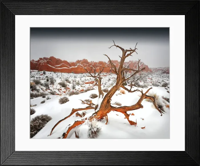 Framed Print : Arches National Park in Utah, South-western United States, with a mantle of rare winter snow