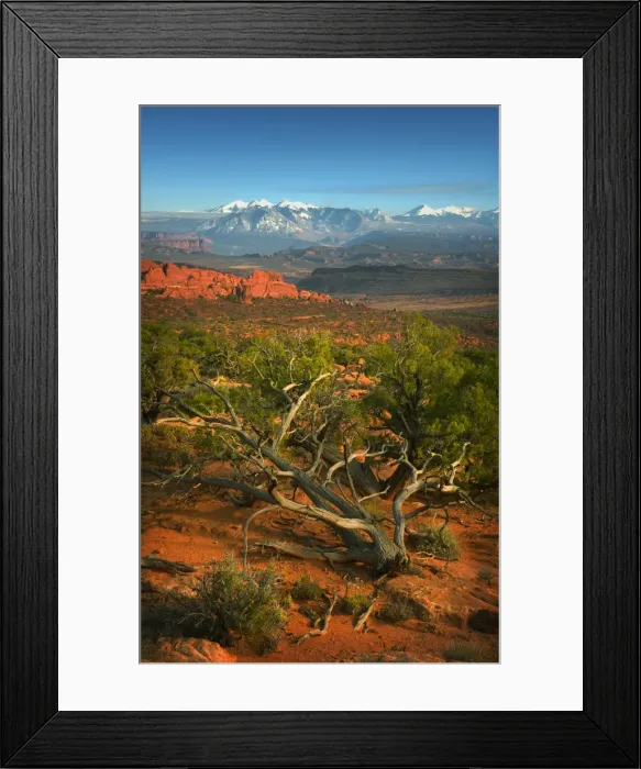 Framed Print : A view of Arches National Park, which is situated in the South-western region of the United States, in the state of Utah