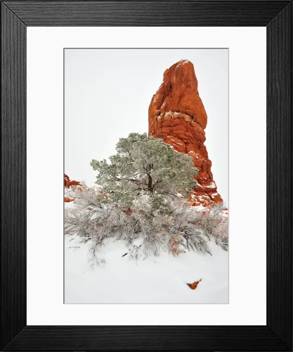 Framed Print : Arches National Park in Utah, South-western United States, with a mantle of rare winter snow