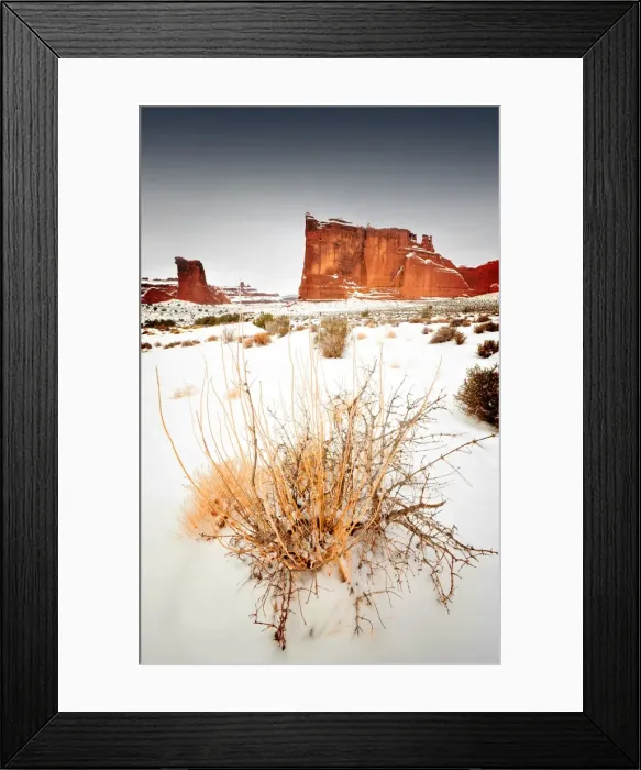 Framed Print : Arches National Park in Utah, South-western United States, with a mantle of rare winter snow Framed Print : Arches National Park in Utah, South-western United States, with a mantle of rare winter snow