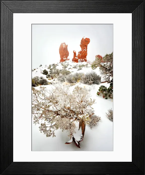Framed Print : Arches National Park in Utah, South-western United States, with a mantle of rare winter snow