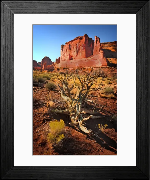 Framed Print : A view of Arches National Park, which is situated in the South-western region of the United States, in the state of Utah