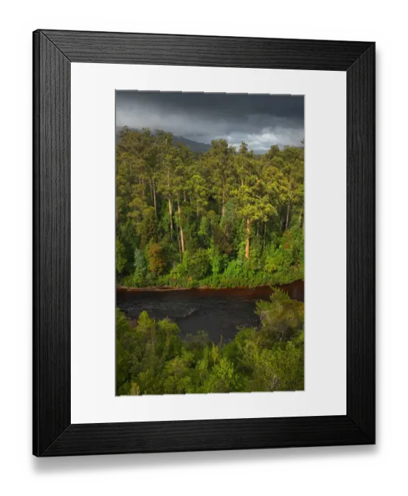 Framed Print : Arve river forest, Southern Tasmania