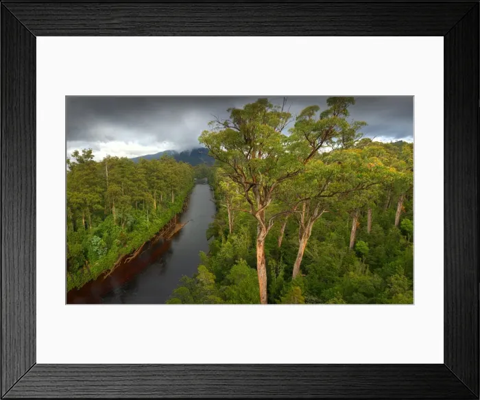 Framed Print : Arve river forest, Southern Tasmania