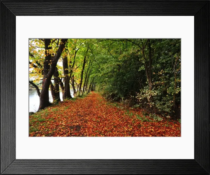 Framed Print : Autumn colours at Ross, a lovely historic village in Central Tasmania Framed Print : Autumn colours at Ross, a lovely historic village in Central Tasmania