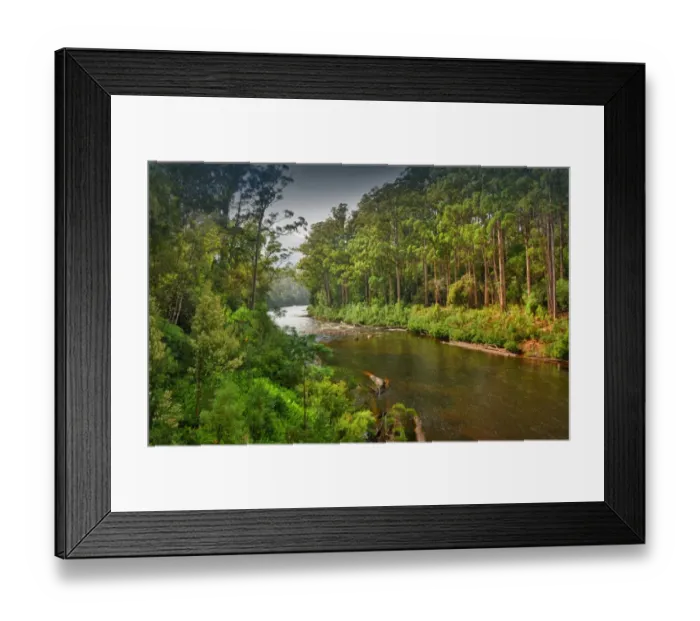 Framed Print : Arve river forest, Southern Tasmania