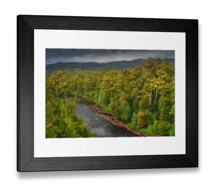 Framed Print : Arve river forest, Southern Tasmania