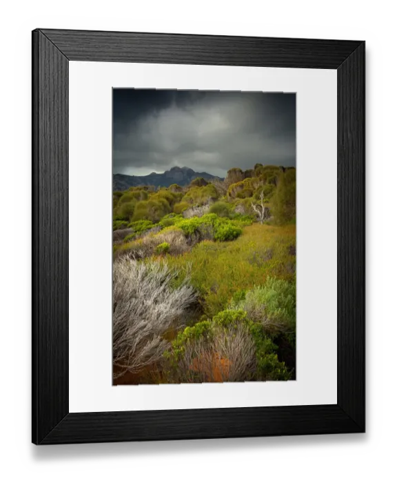 Framed Print : Coastal view to Mount Strzelecki, Flinders Island Tasmania