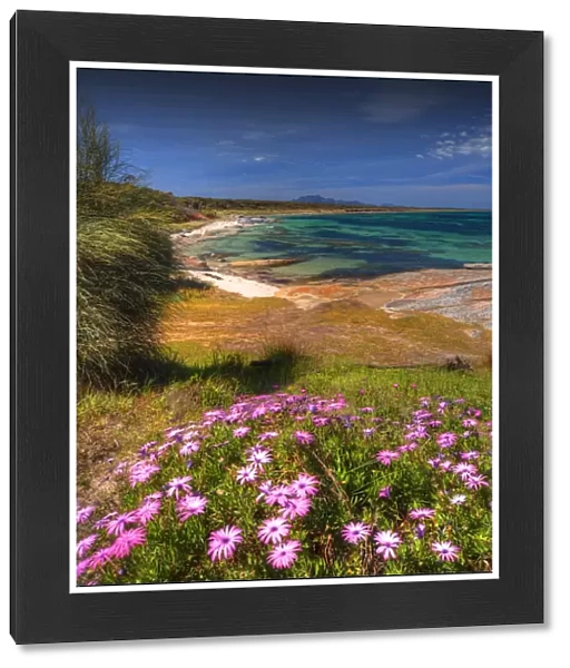 Blue Rocks, an area of coastline just north of Whitemark, Flinders Island, Bass Strait, Tasmania