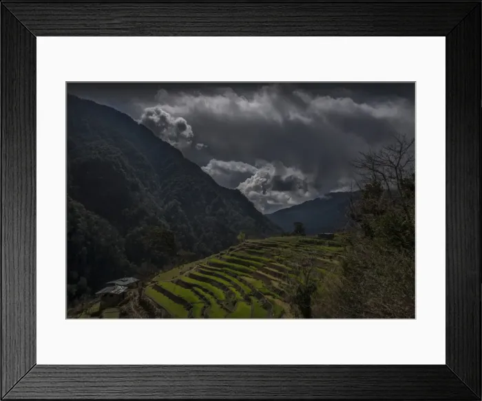 Framed Print : Paddy fields in the mountainous region of Gasa, Northern Bhutan Framed Print : Paddy fields in the mountainous region of Gasa, Northern Bhutan