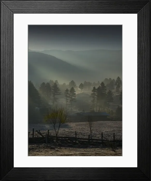 Framed Print : Dawn at Wangdu Prodhang, Bhutan Framed Print : Dawn at Wangdu Prodhang, Bhutan