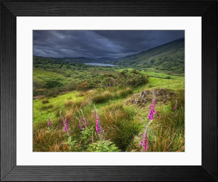 Framed Print : Countryside farming view within the Snowdonia National Park in northern Wales, United Kingdom