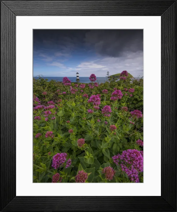 Framed Print : Black Point Lighthouse, Anglesea, Northern Wales, United Kingdom