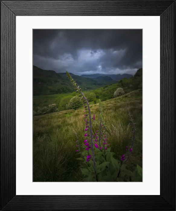 Framed Print : Beddgelert Valley, northern Wales, United kingdom