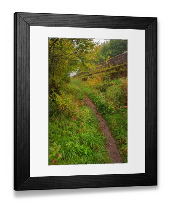 Framed Print : Bridle pathway near the historic stone bridge over the river Tweed at Kelso, the border area, Scotland