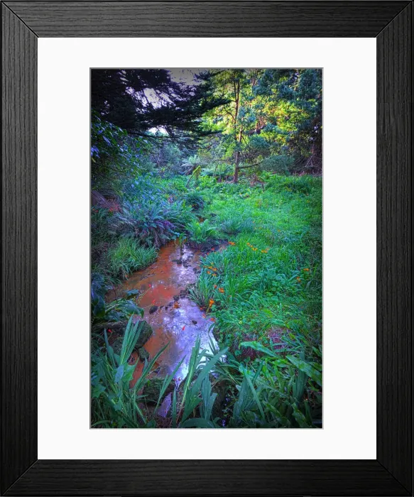 Framed Print : Ferny brook at Parenna, King Island Tasmania Framed Print : Ferny brook at Parenna, King Island Tasmania