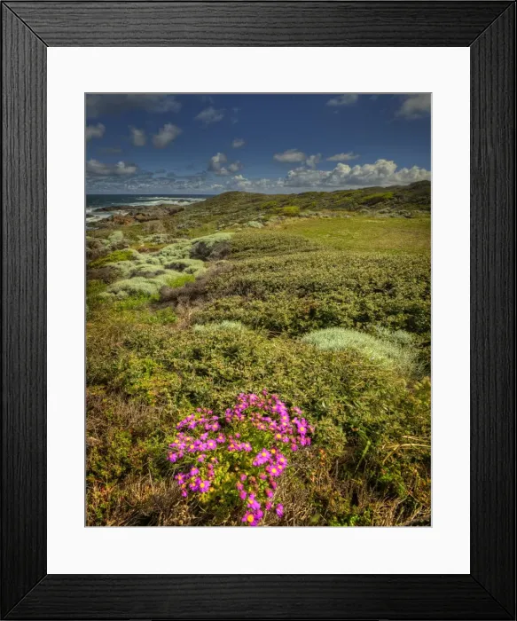 Framed Print : Devils Gap, a treacherous rocky coastline and reef near the Entrance to Currie Harbour on King Island Tasmania Framed Print : Devils Gap, a treacherous rocky coastline and reef near the Entrance to Currie Harbour on King Island Tasmania