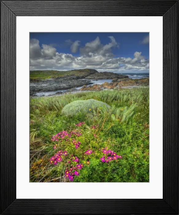 Framed Print : Devils Gap, a treacherous rocky coastline and reef near the Entrance to Currie Harbour on King Island Tasmania Framed Print : Devils Gap, a treacherous rocky coastline and reef near the Entrance to Currie Harbour on King Island Tasmania