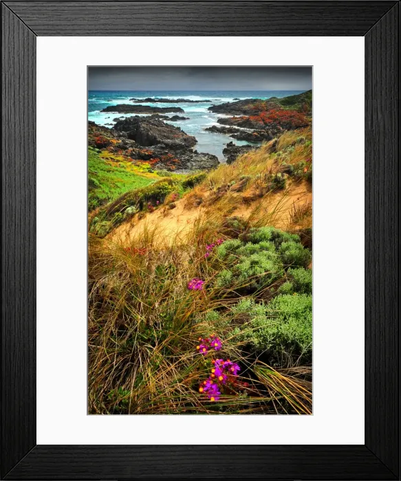Framed Print : Devils Gap, a treacherous rocky coastline and reef near the Entrance to Currie Harbour on King Island Tasmania