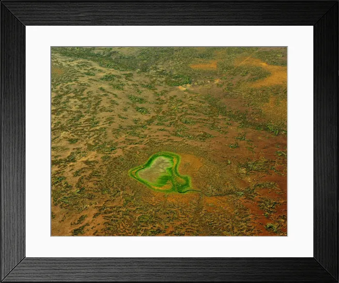 Framed Print : The waterhole Framed Print : The waterhole