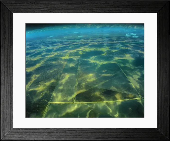 Framed Print : Dappled light Framed Print : Dappled light