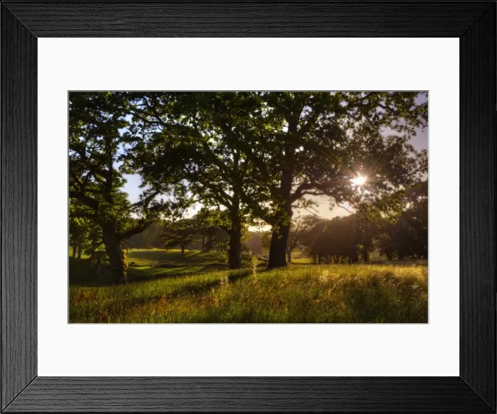 Framed Print : Blackmore Vale, Dorest, England at dawn