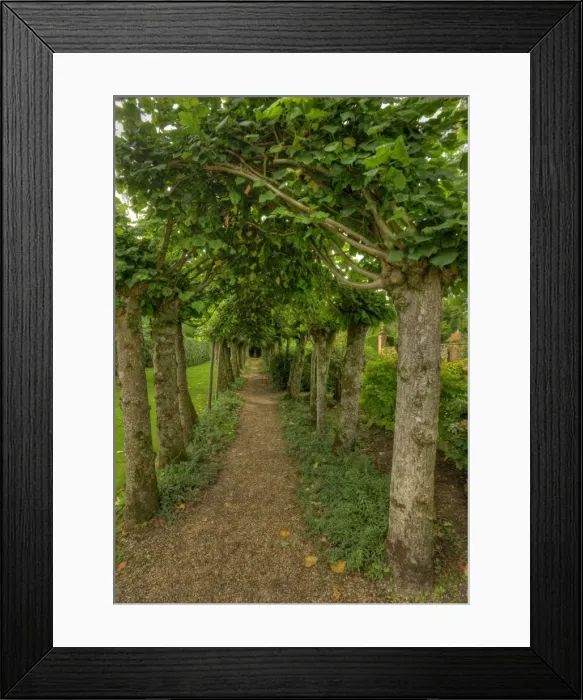 Framed Print : Athelhampton Arbor and Gardens England Framed Print : Athelhampton Arbor and Gardens England