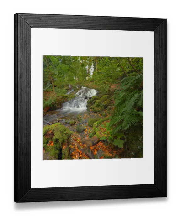 Framed Print : Adelaide Hill in the Lake district is typical of the forests of England Framed Print : Adelaide Hill in the Lake district is typical of the forests of England