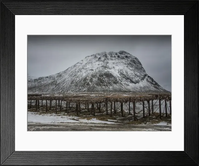 Framed Print : Cod fish drying racks Framed Print : Cod fish drying racks