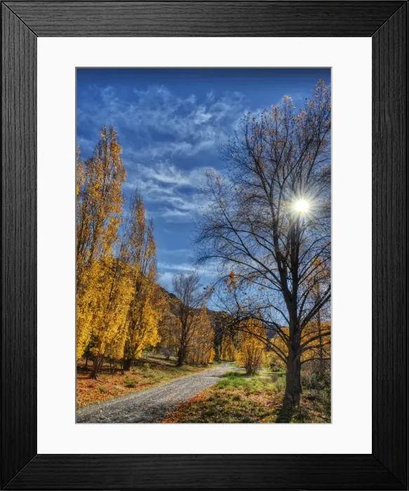 Framed Print : Autumn sunstar Framed Print : Autumn sunstar