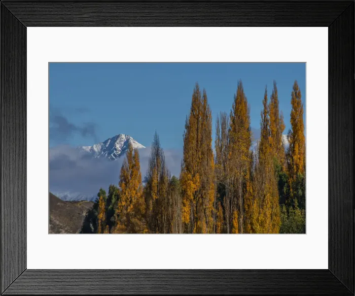 Framed Print : Autumn colours